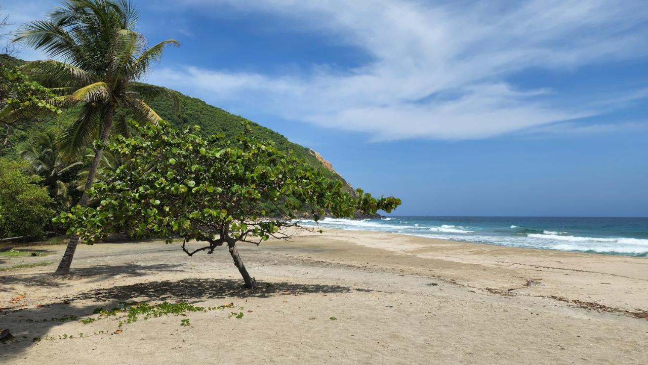Ecolodge Playa Brava Teyumakke Калабасо Экстерьер фото
